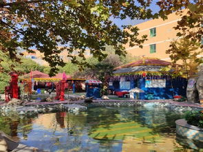 西安秦龍溫泉游玩全攻略 門票價格、地址、溫泉體驗與貼心貼士